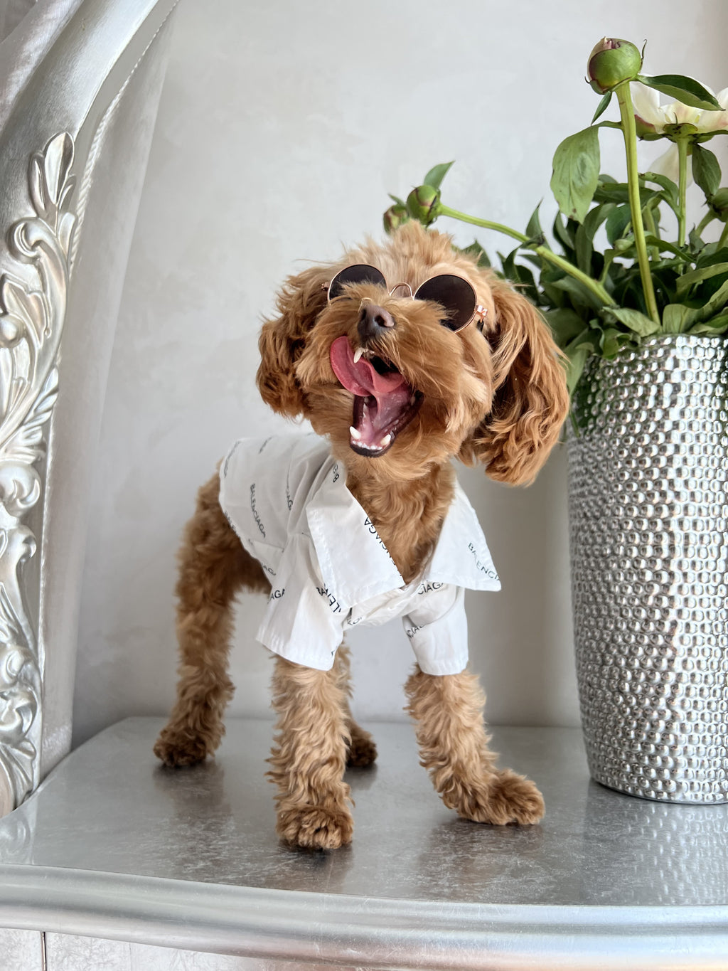 Сорочка білого кольору з принтом Balenciaga