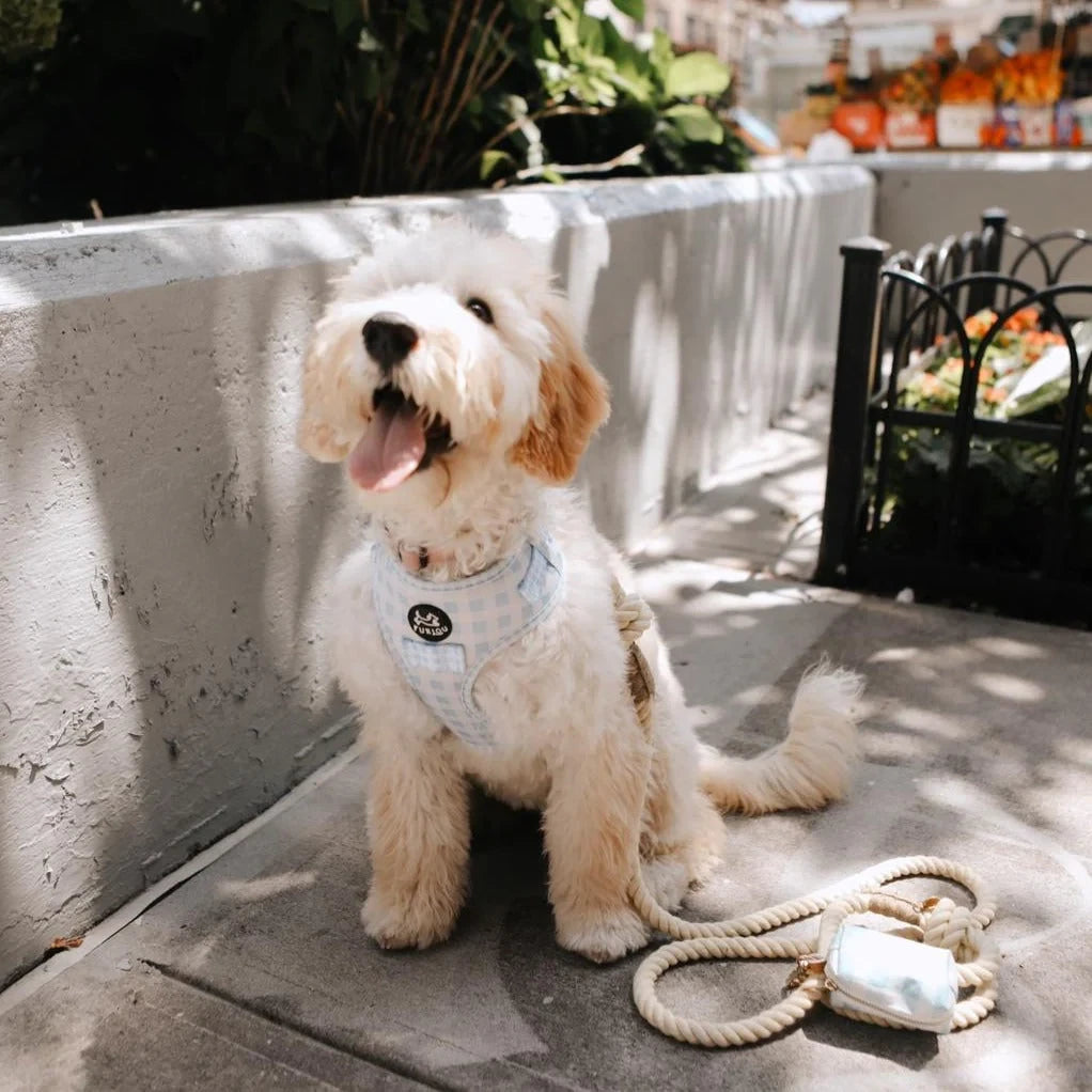 Повідець для собак Furlou Regular Rope Leash - Vanilla