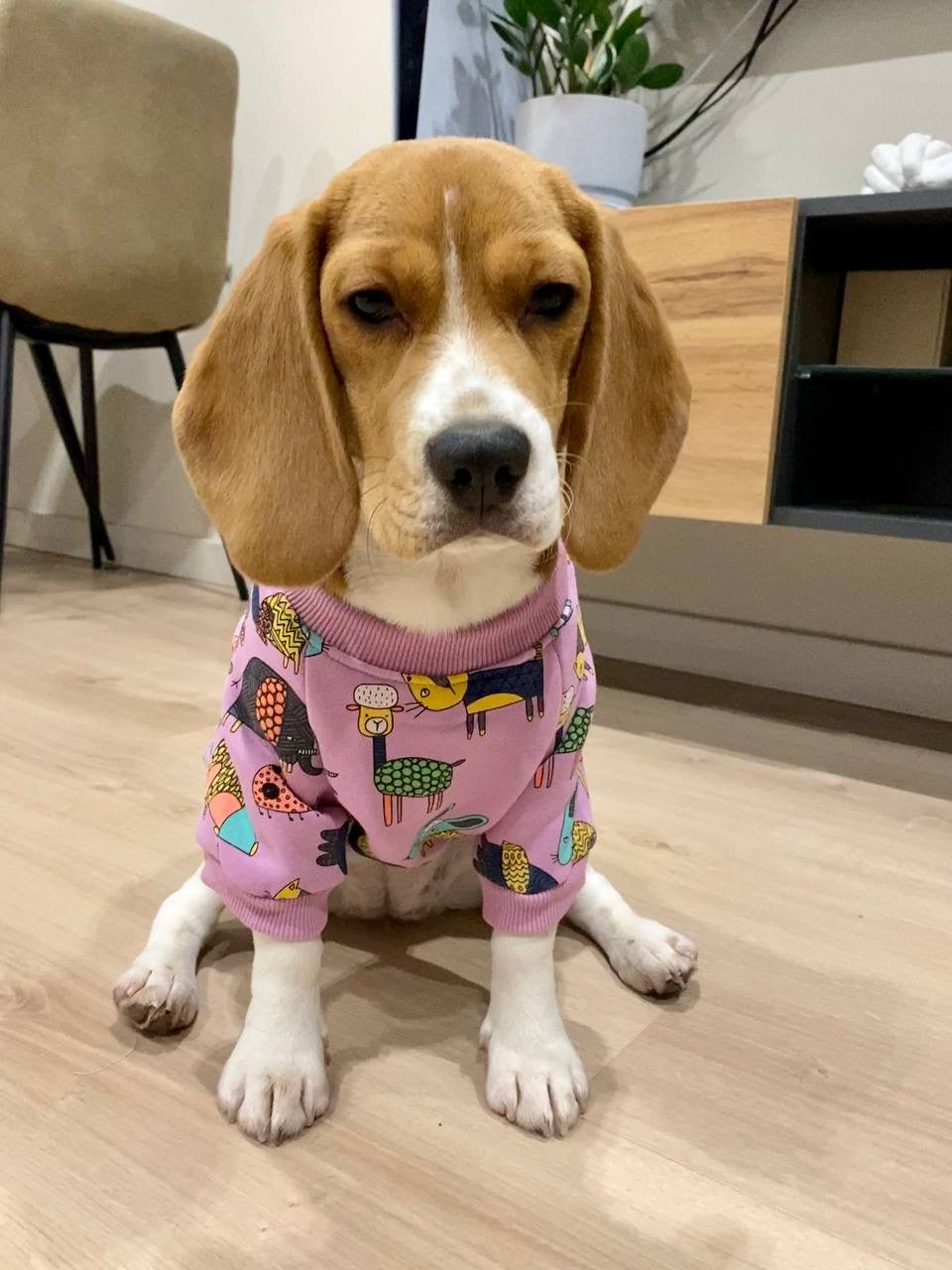 Purple sweatshirt Seaven heaven