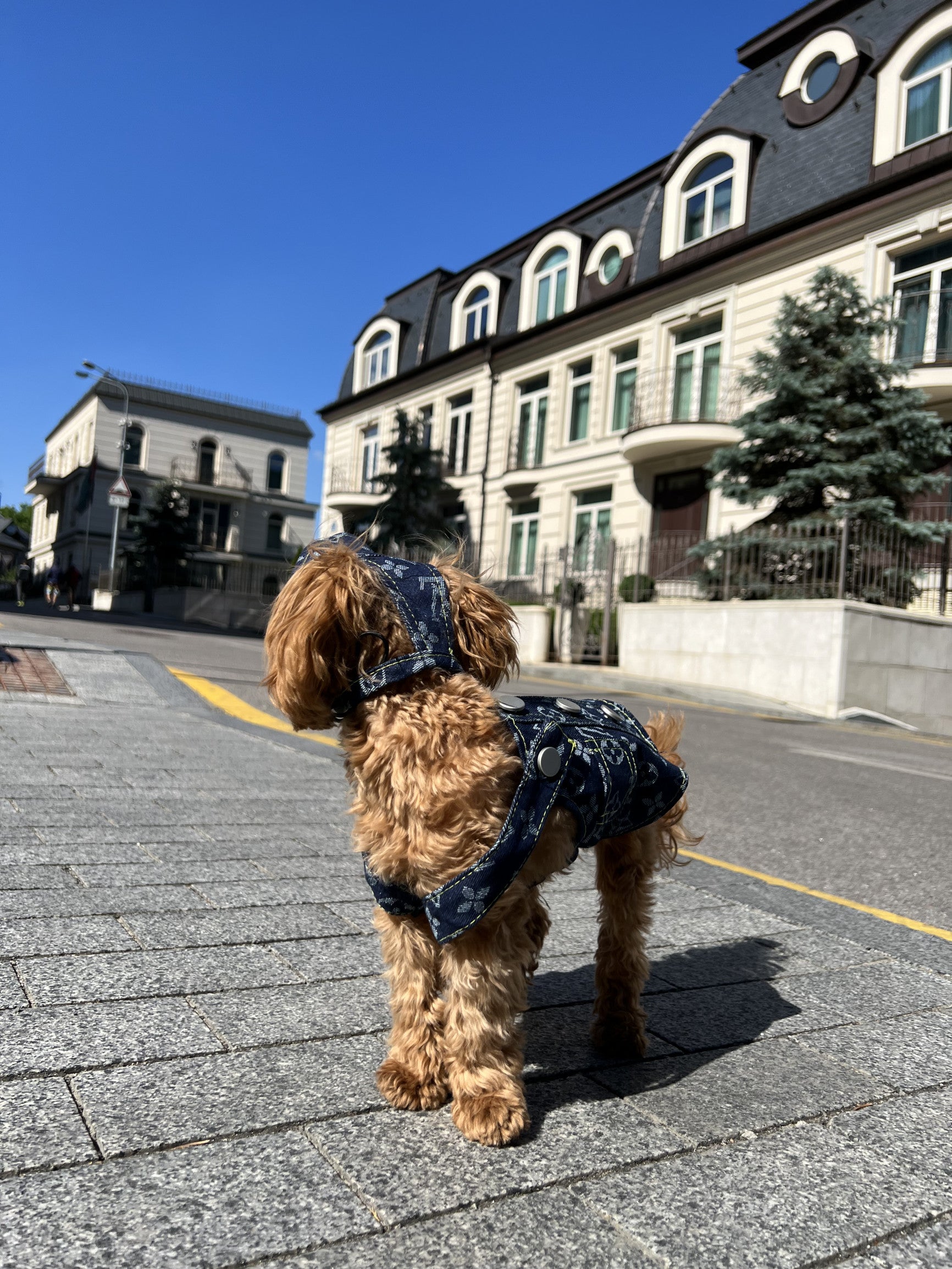 Сарафан джинсовий прямий з принтом LV