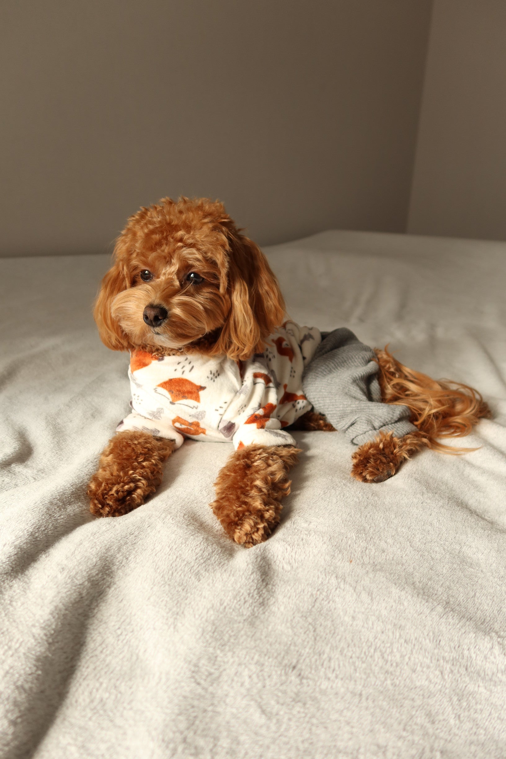 Комбінезон сірого кольору Forest Friends