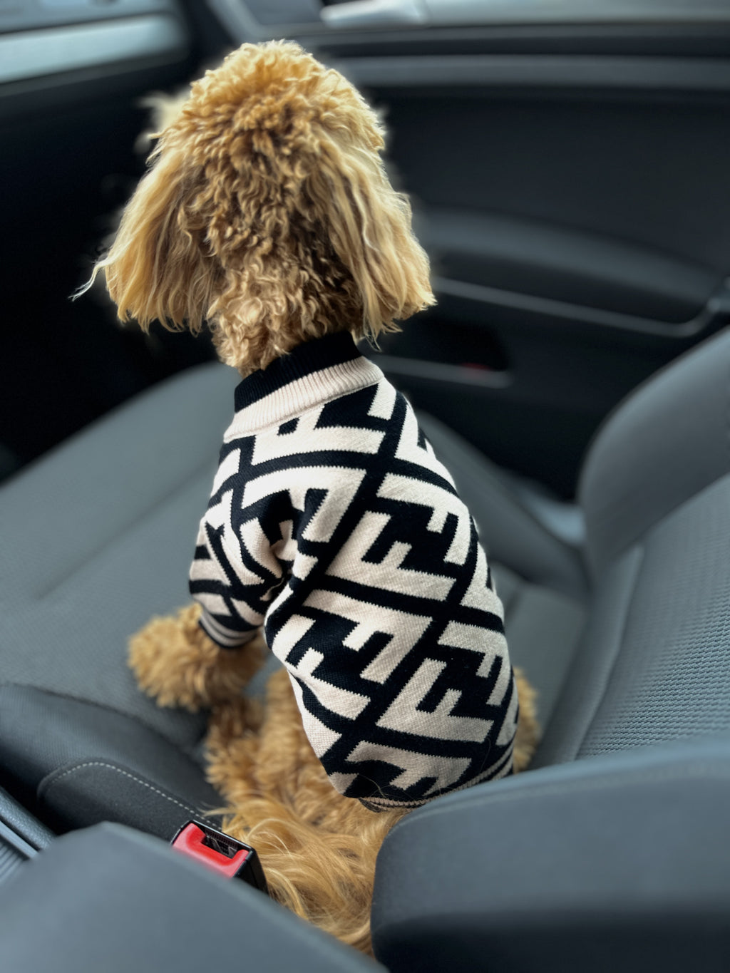 Black sweater with Fendi print