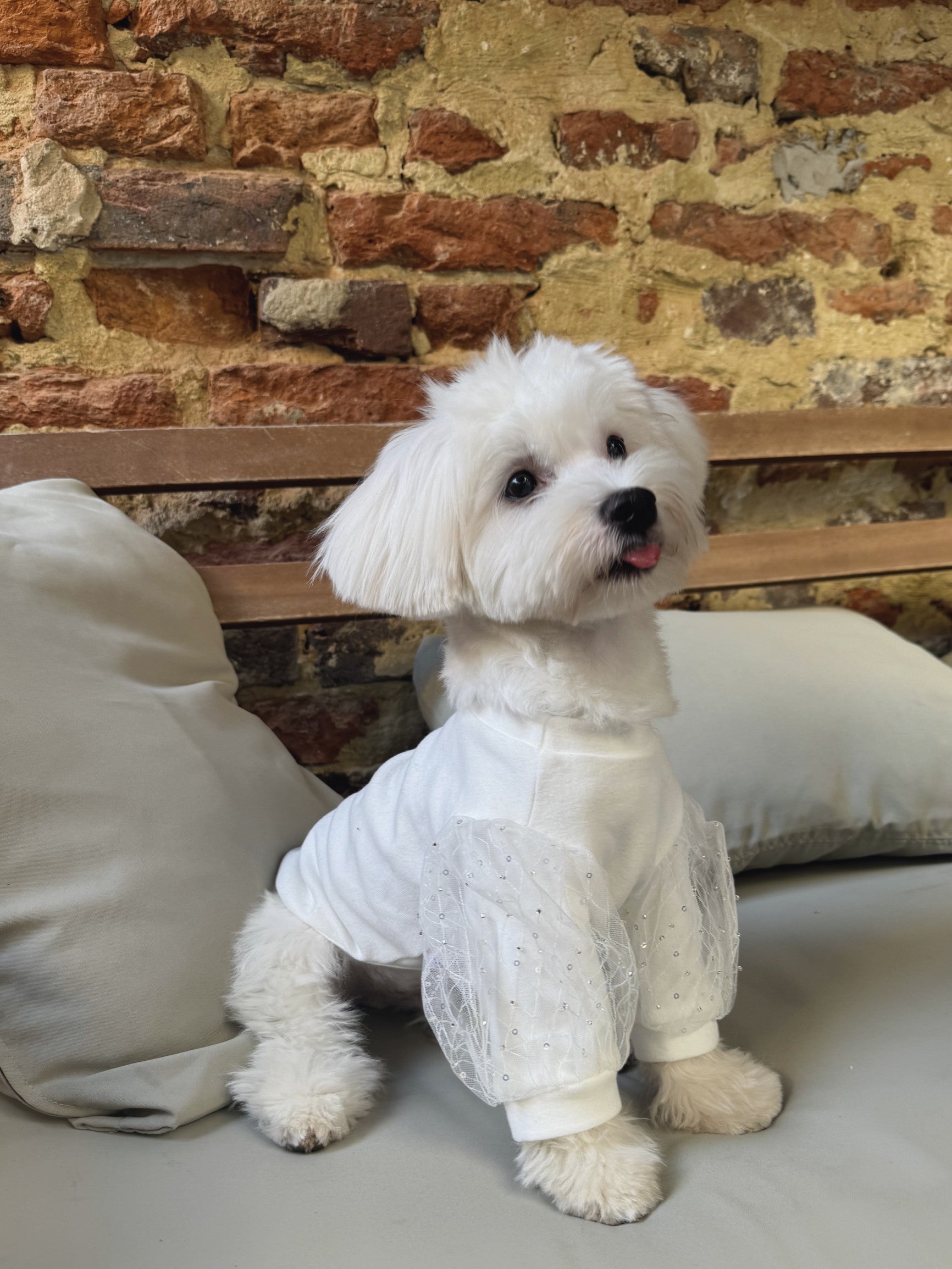 White T-shirt with sequins