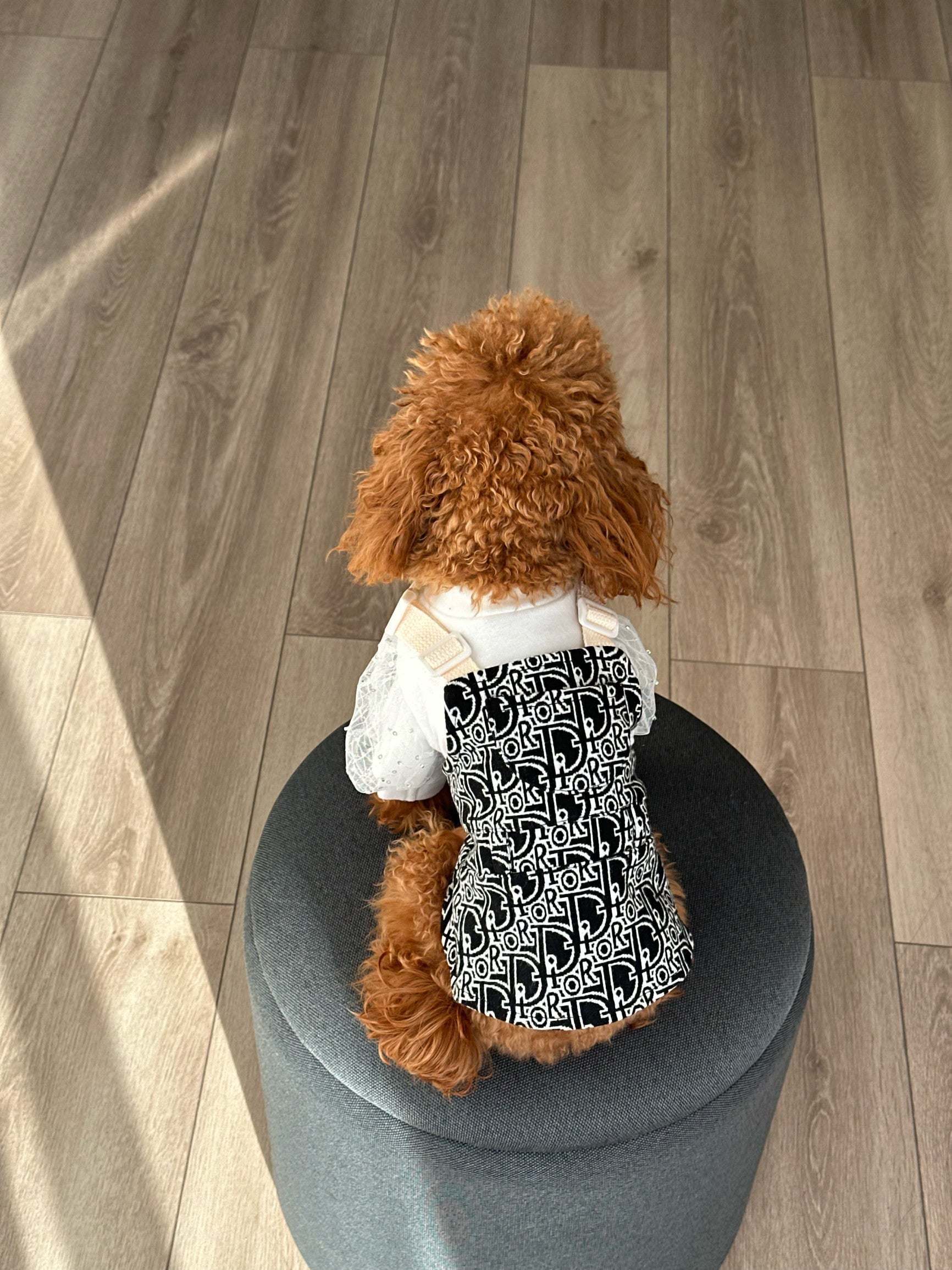 Сарафан чорного кольору з принтом Dior