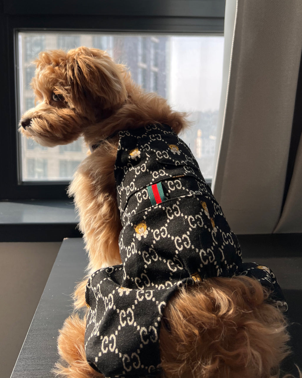 Штани чорного кольору Gucci Bear