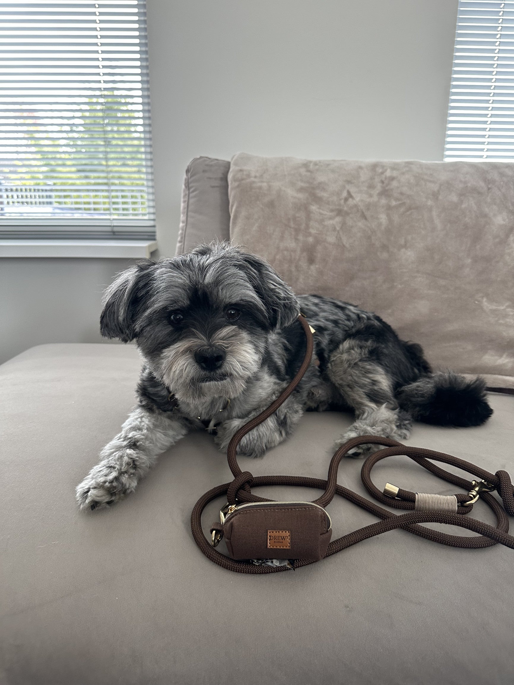 Повідець-перестібка для собак Drew's Dogwear - Espresso Brown