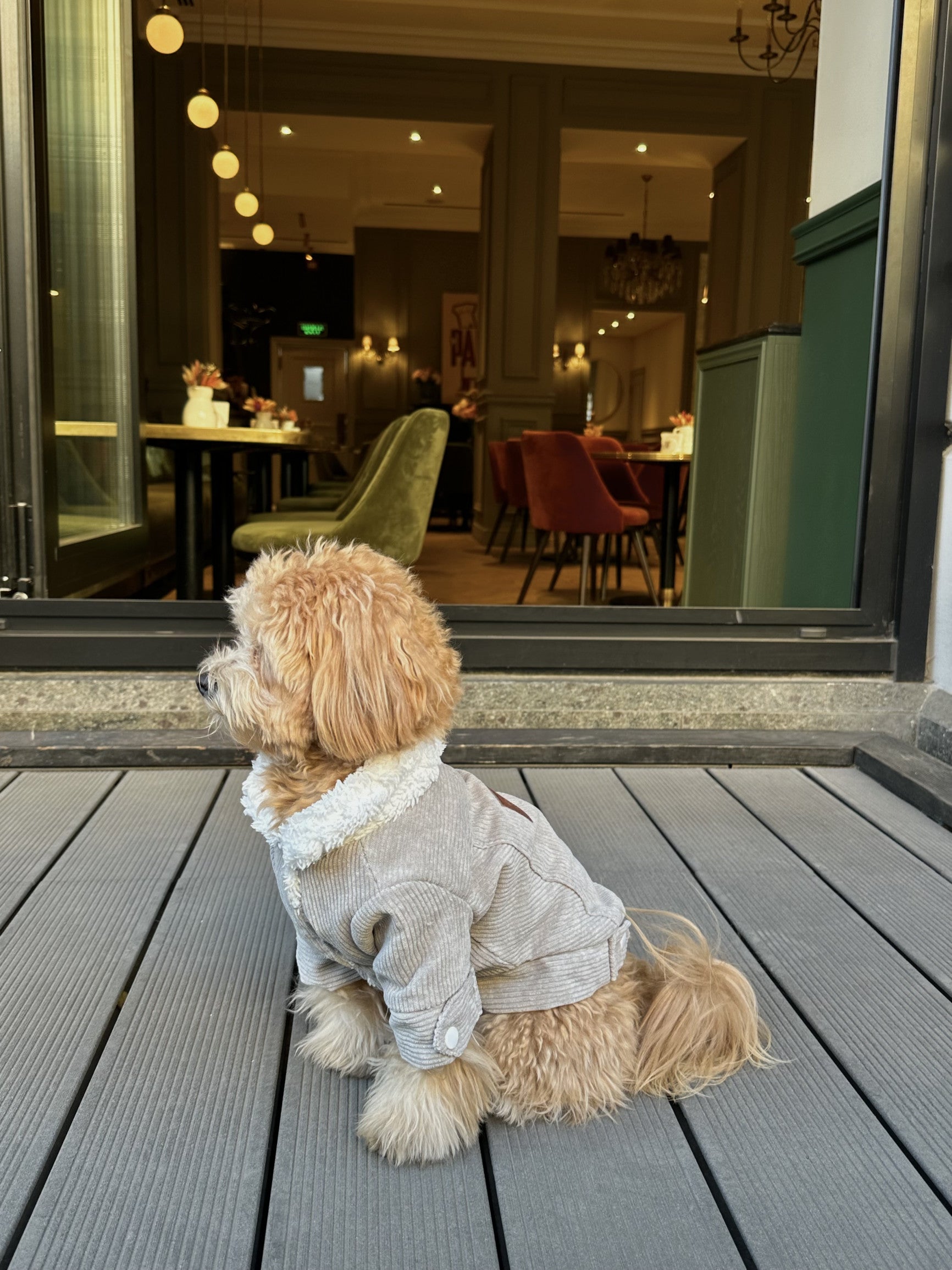 Куртка сірого кольору Velvet