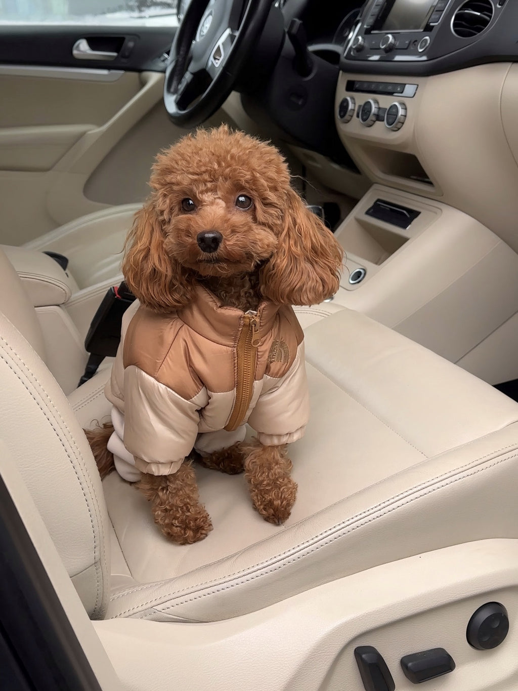 Куртка бежевого кольору The Dog Face