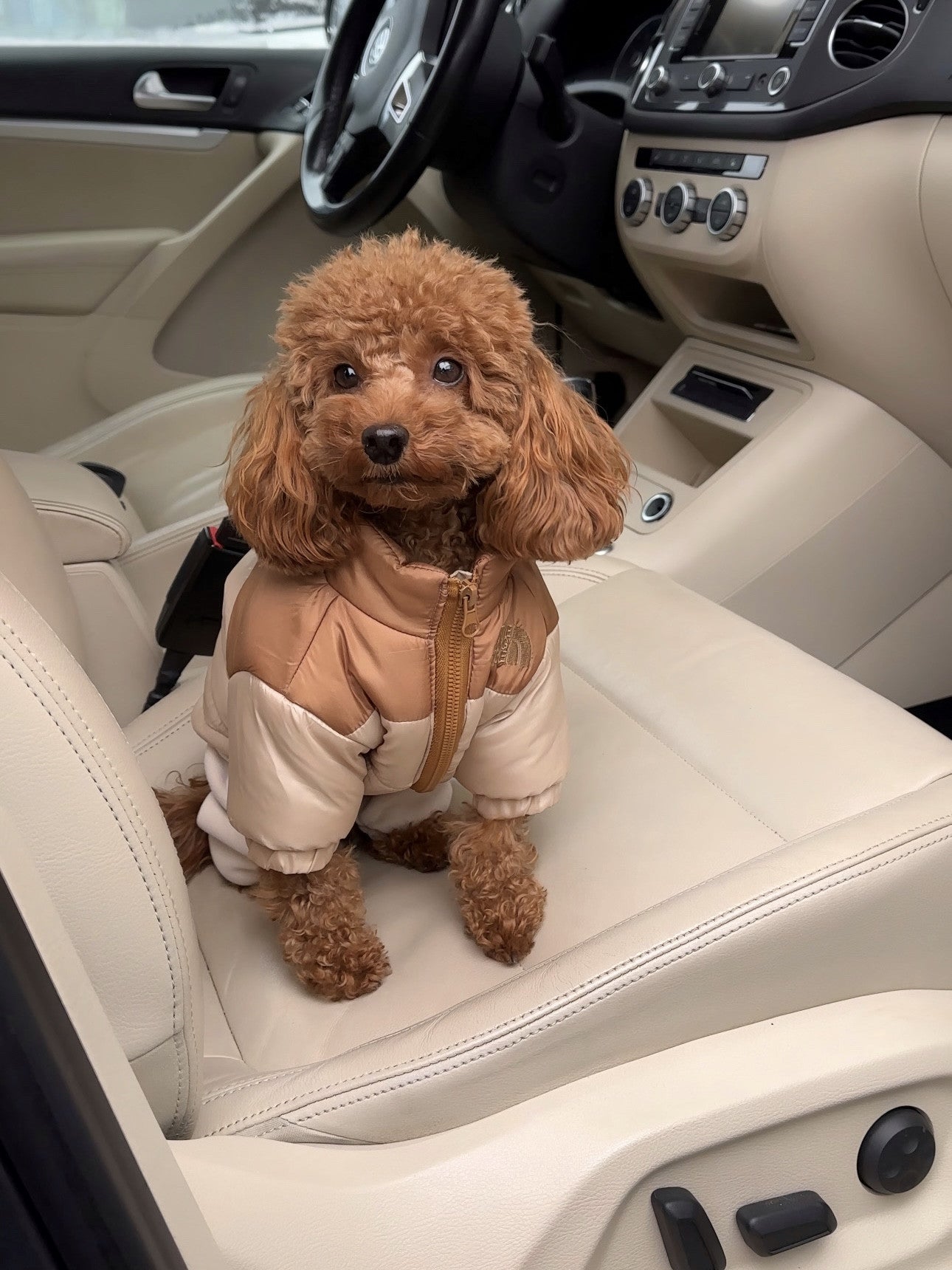 Куртка бежевого кольору The Dog Face