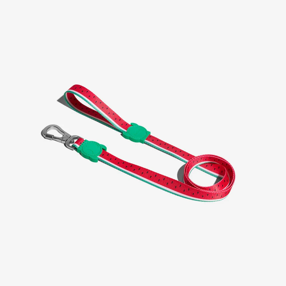 Повідець для собак Zee.Dog - Lola Leash