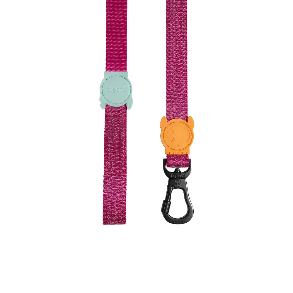 Повідець для собак світловідбиваючий Zee.Dog - Nox Sidus