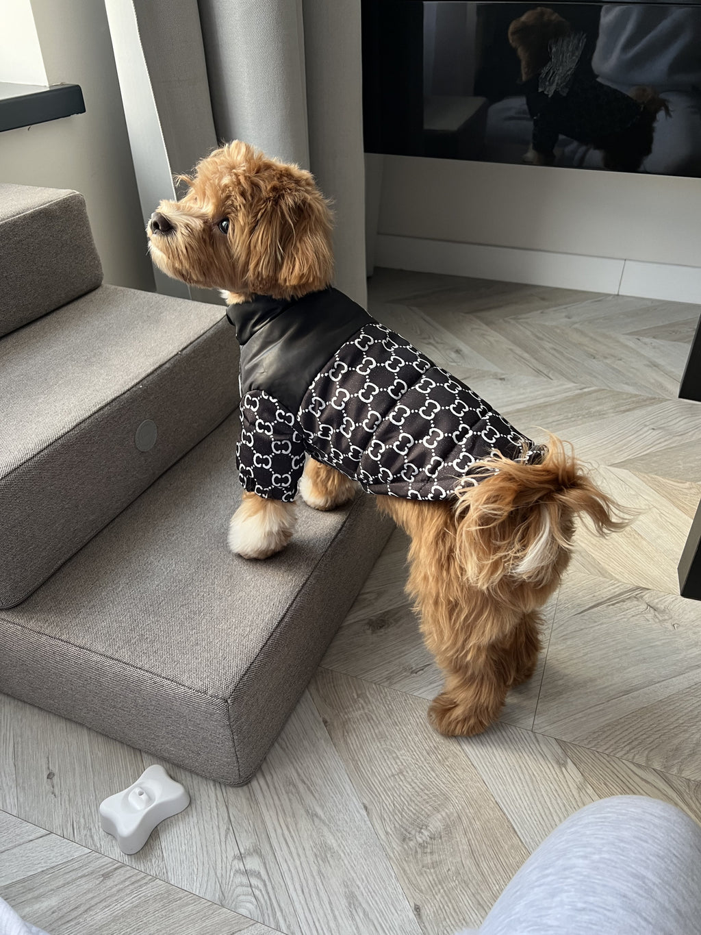 Куртка чорного кольору The pet face GG