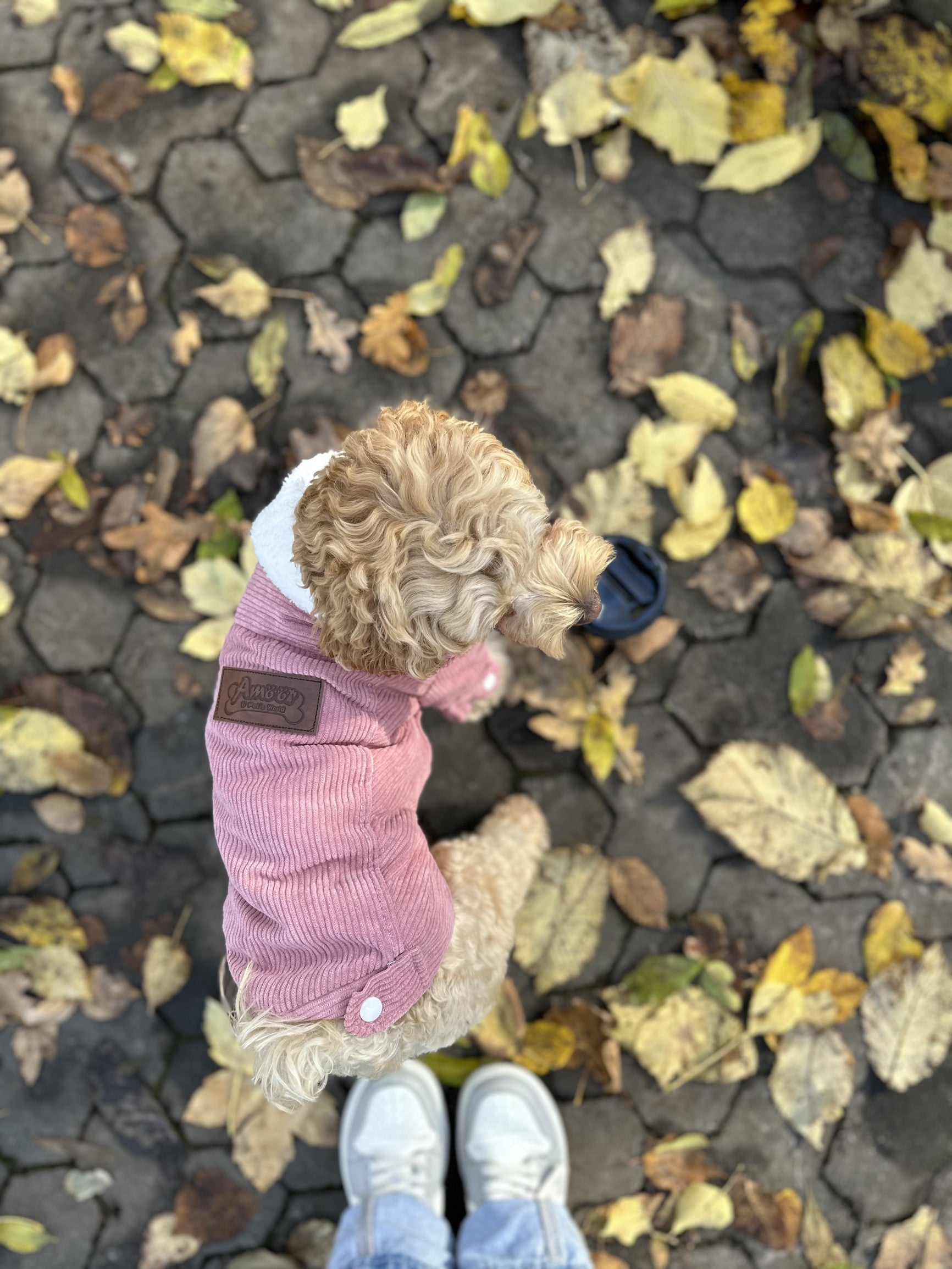 Куртка рожевого кольору Velvet