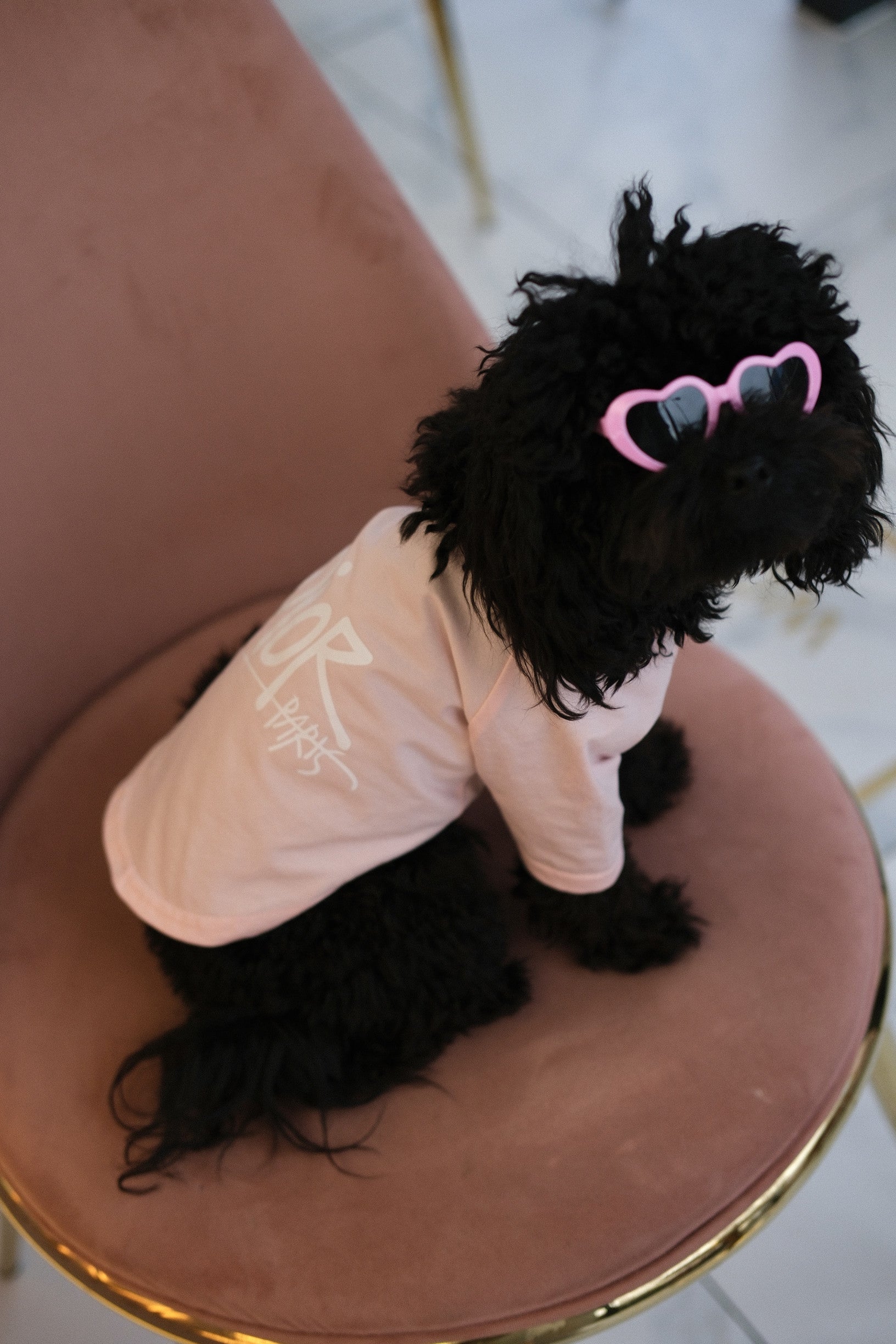 Футболка рожевого кольору з принтом Dior Paris