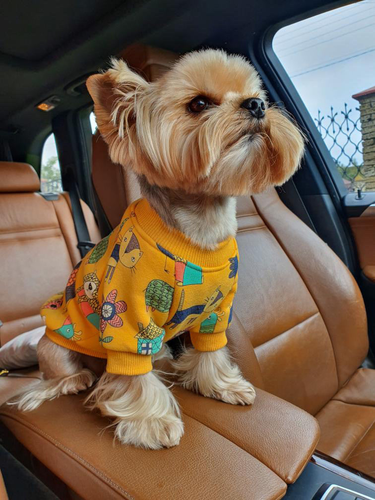 Seaven heaven mustard sweatshirt