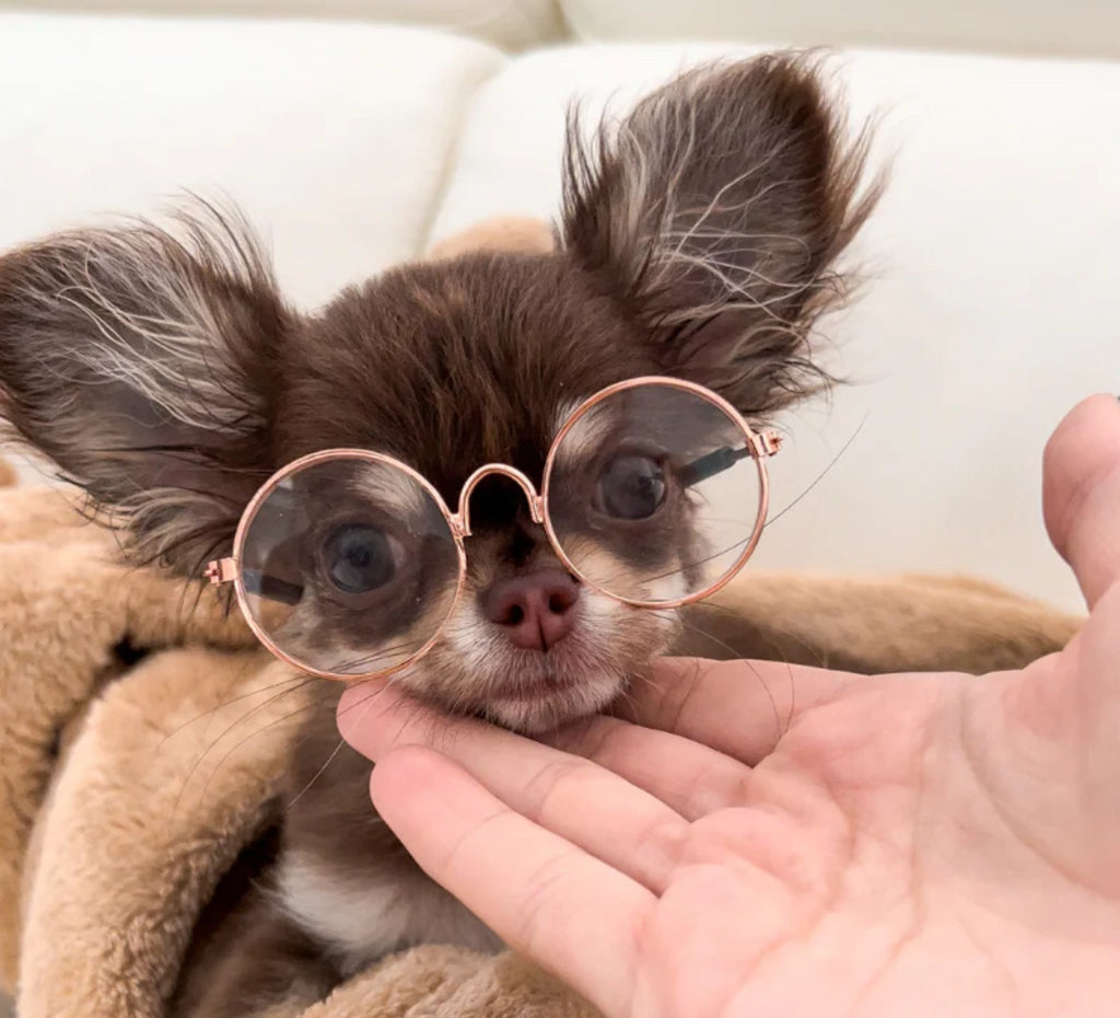 Окуляри з круглими прозорими лінзами Clear Nude