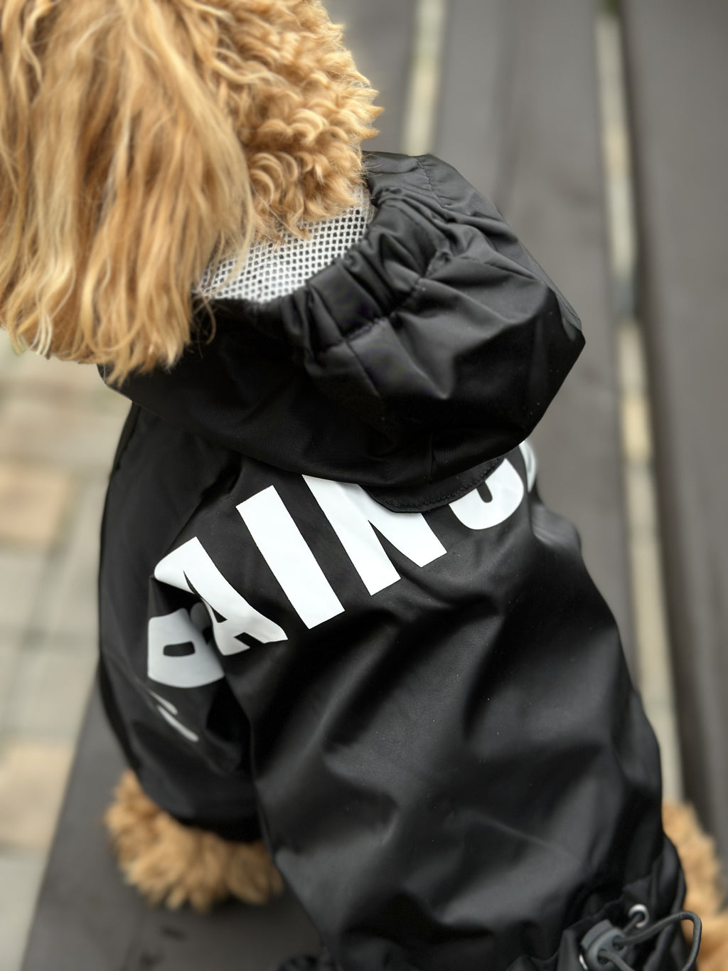 Black raincoat Is Pet