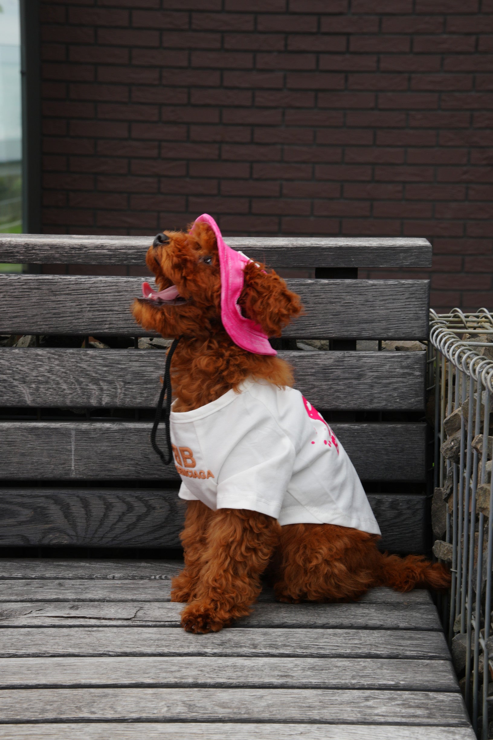 Футболка білого кольору з принтом Balenciaga