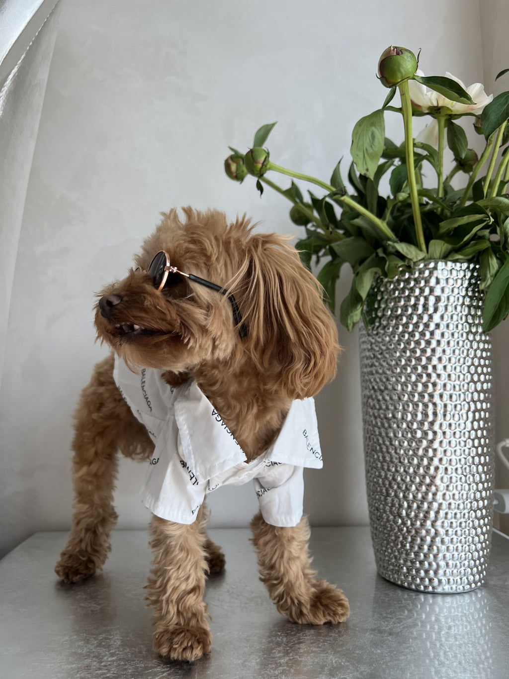 Сорочка білого кольору з принтом Balenciaga