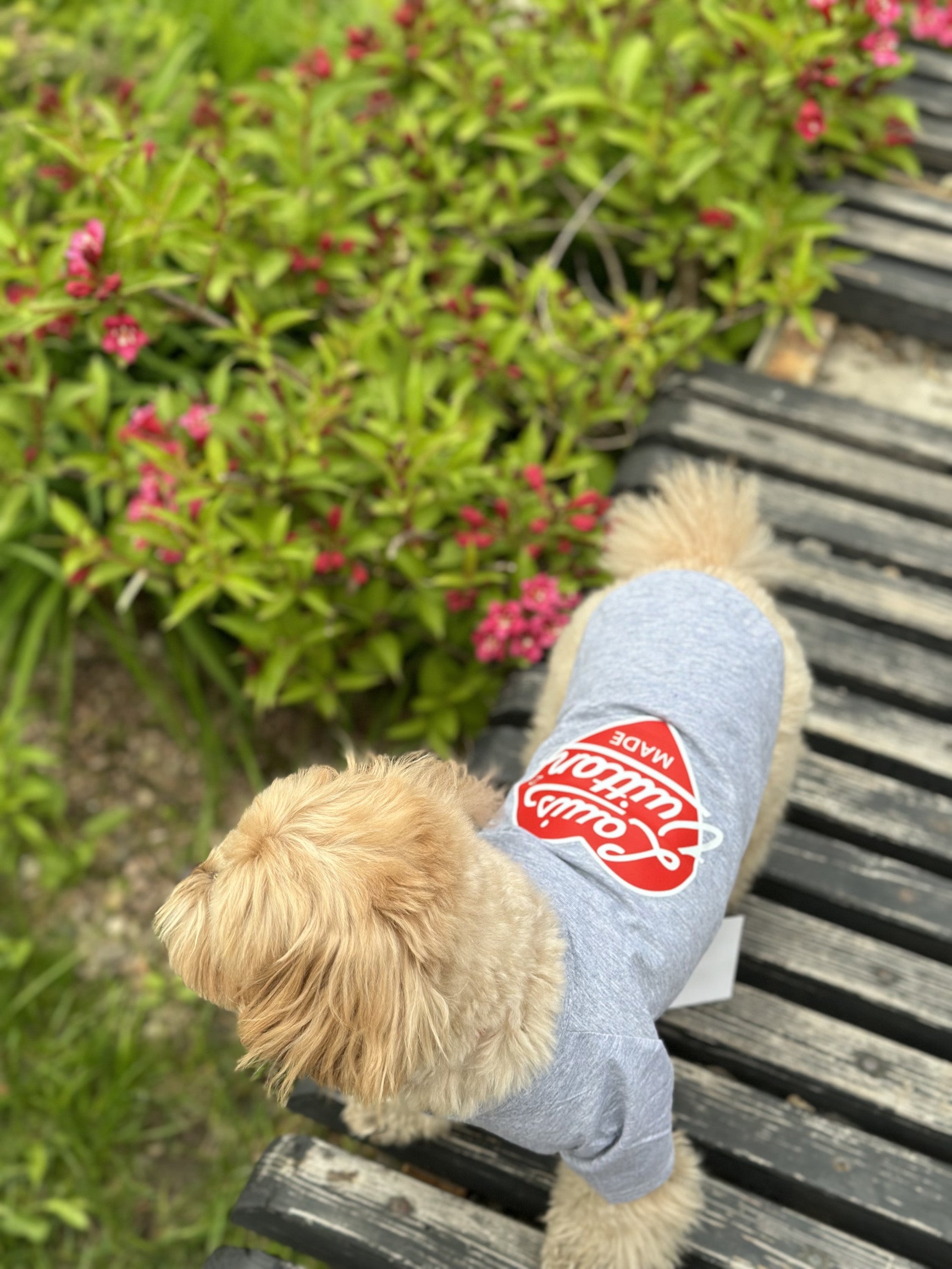 Футболка сірого кольору з принтом LV