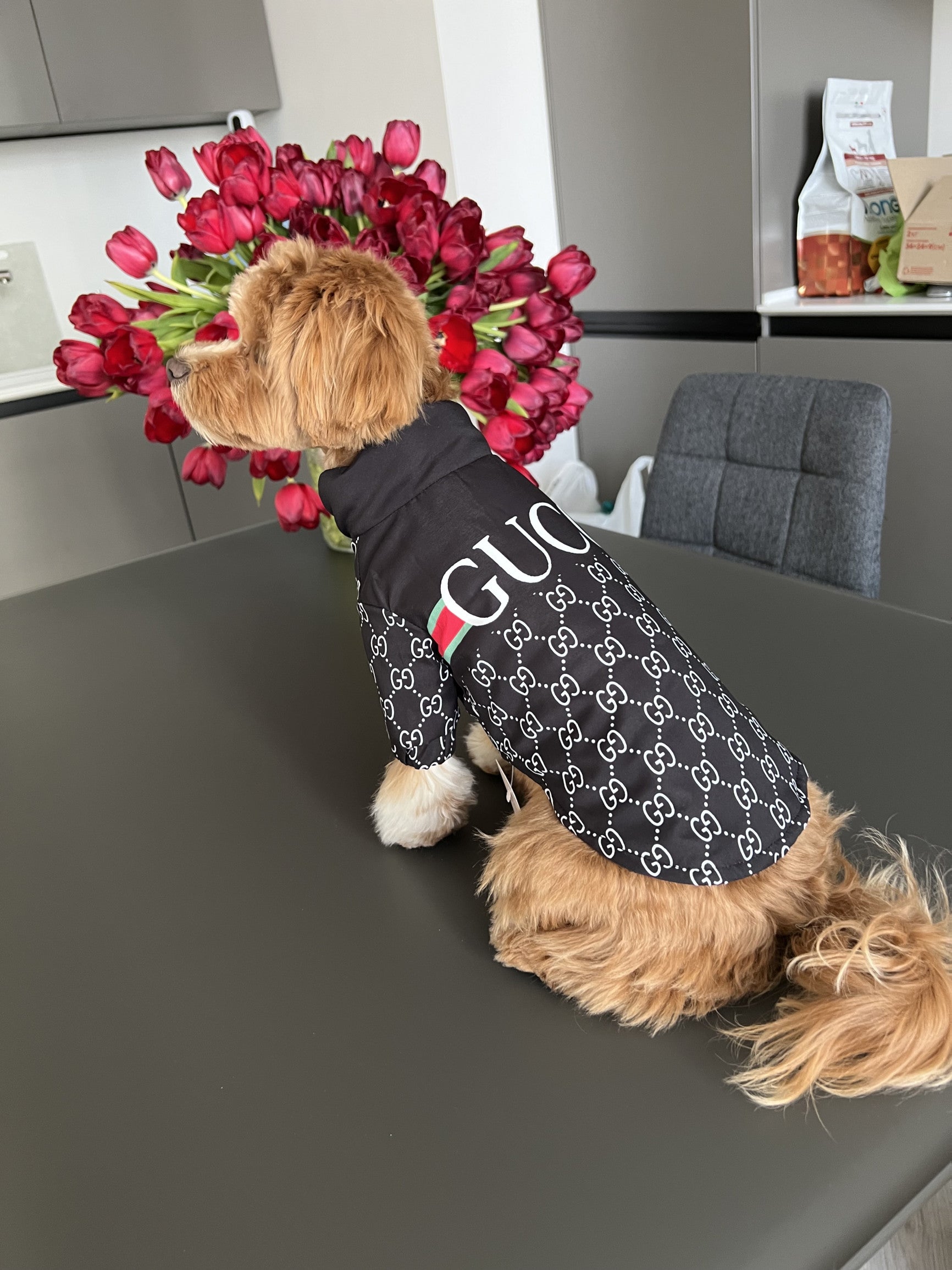 Куртка чорного кольору з принтом Gucci Noir