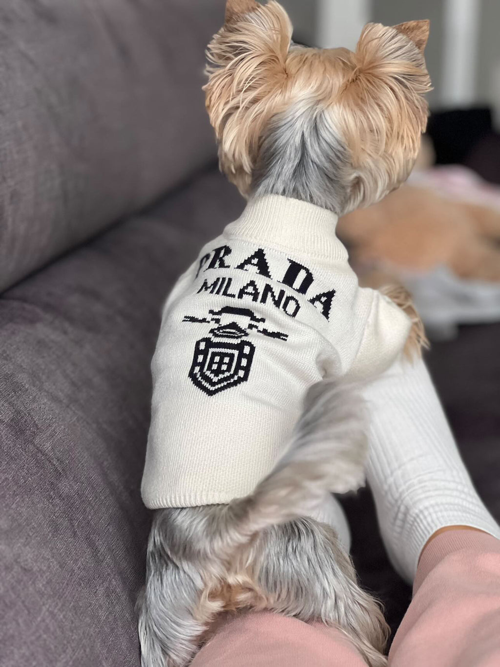 Светр білого кольору з принтом Prada