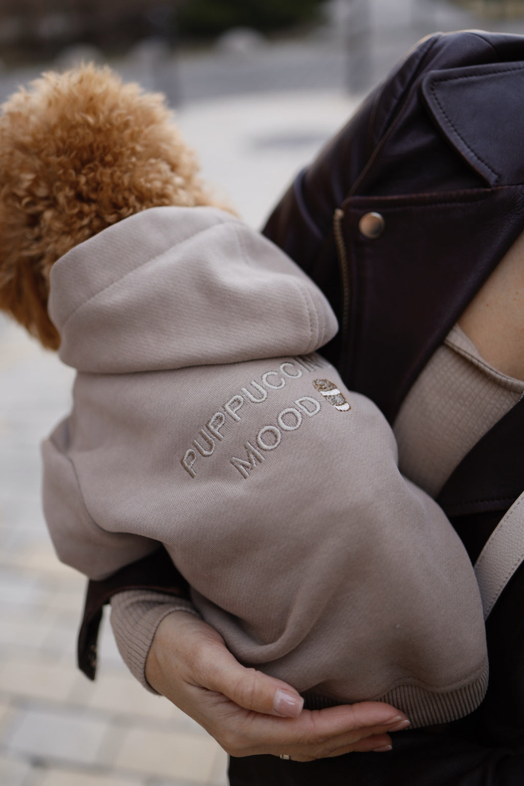 Brown hoodies Puppucino mood