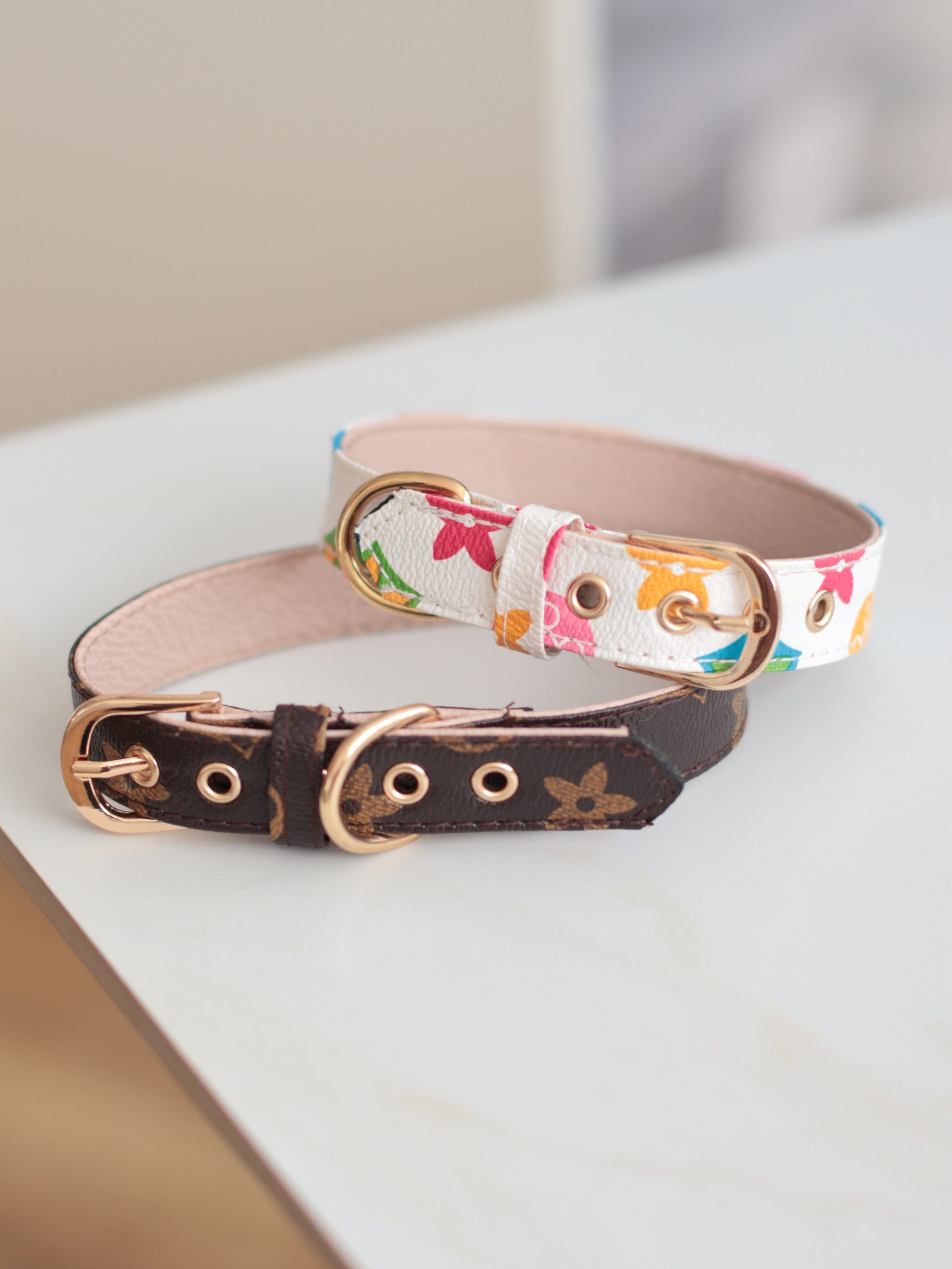 Нашийник у наборі з повідцем білого кольору з квітковим принтом LV