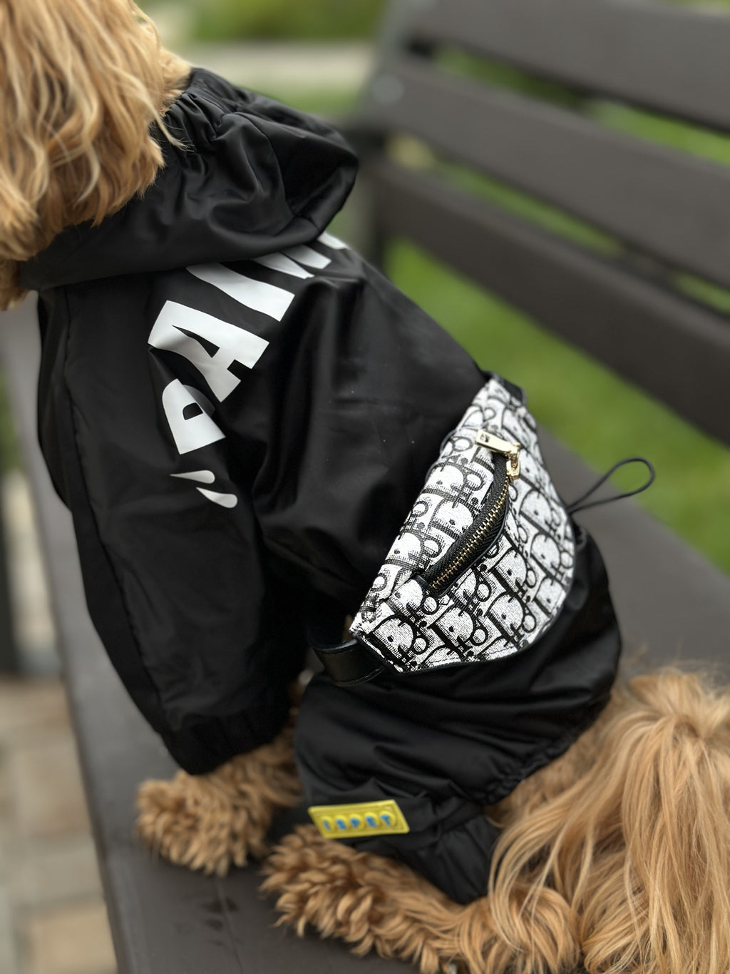 White banana with Dior print