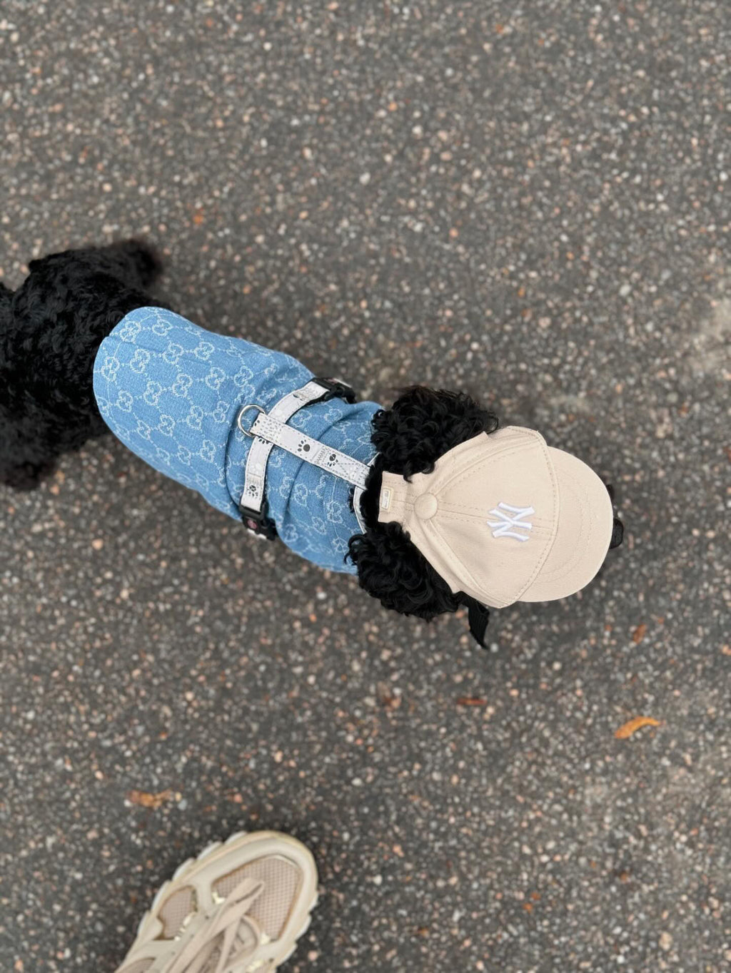 Кепка бежевого кольору NY