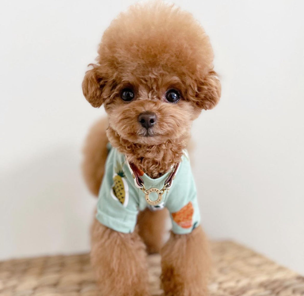 Mint T-shirt with Pineapple print