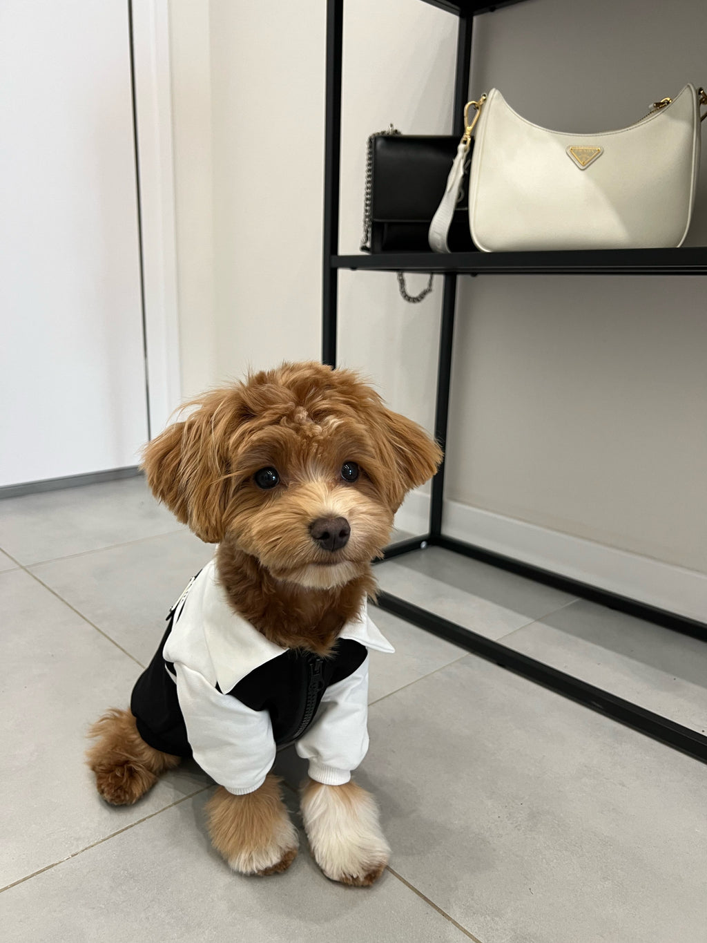 Prada black and white bomber jacket