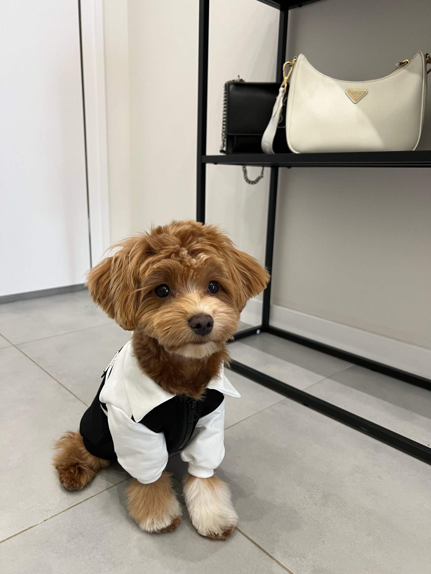 Бомбер чорно-білого кольору Prada