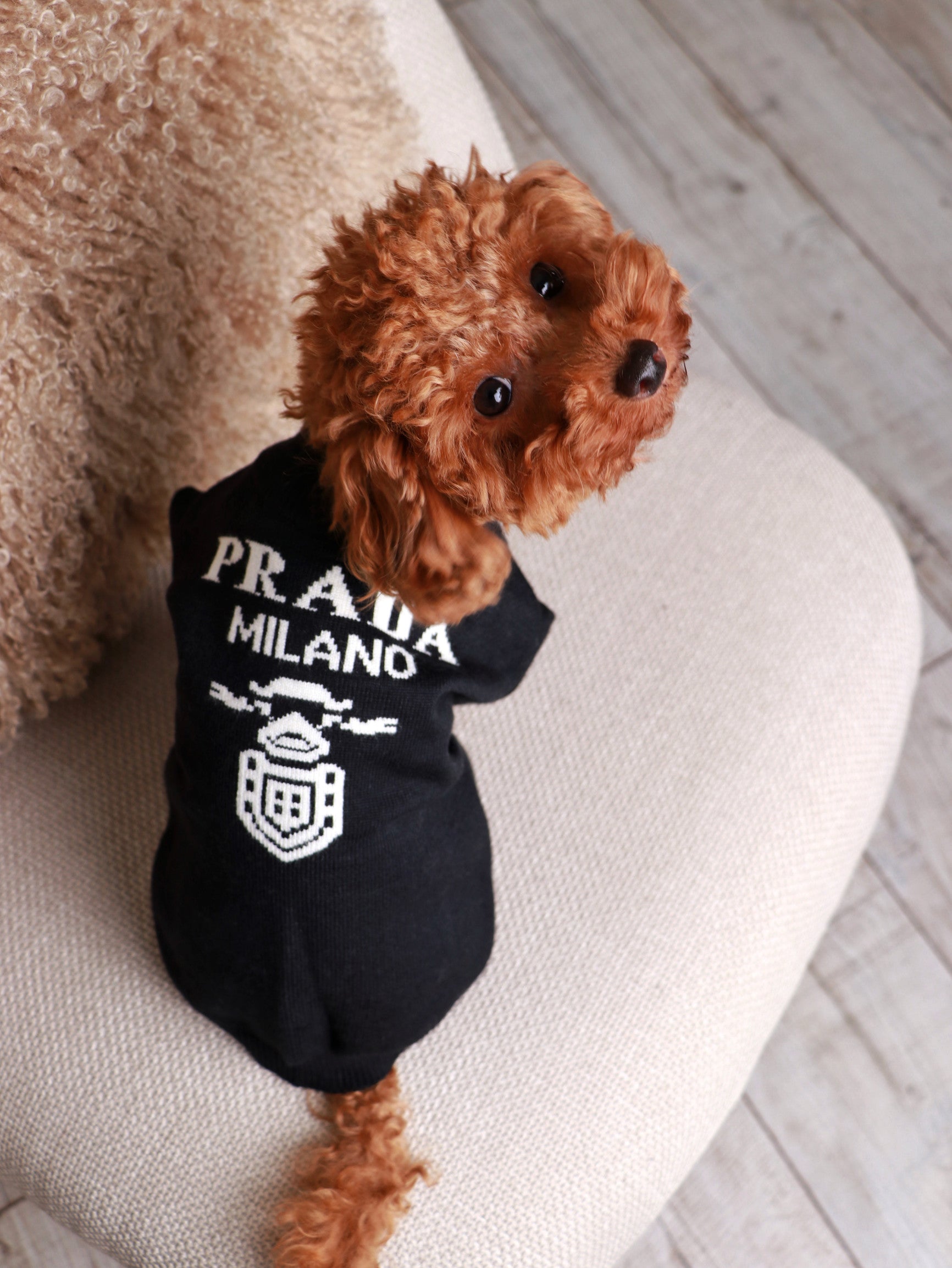 Светр чорного кольору з принтом Prada