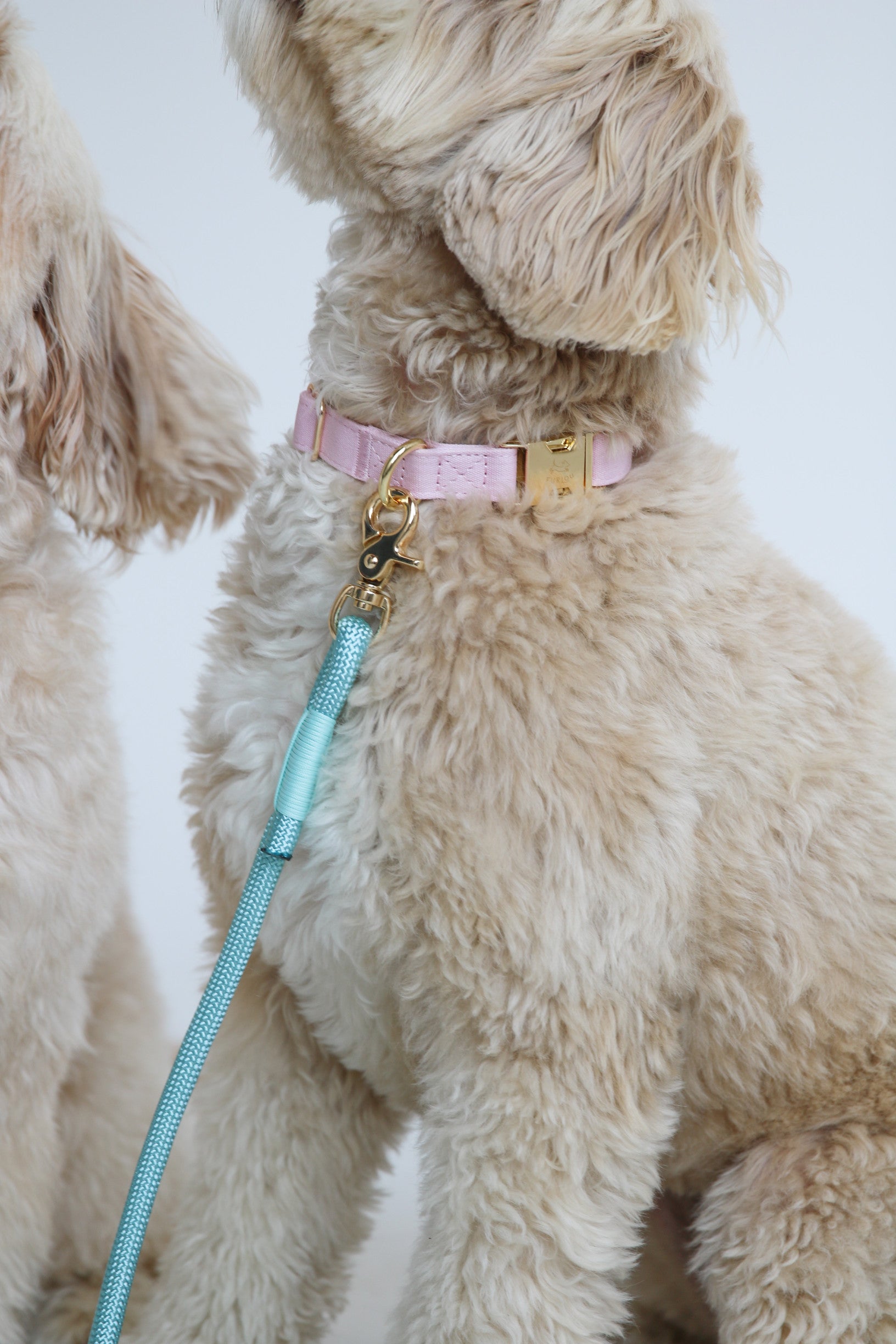 Нашийник для собак Furlou - Rose