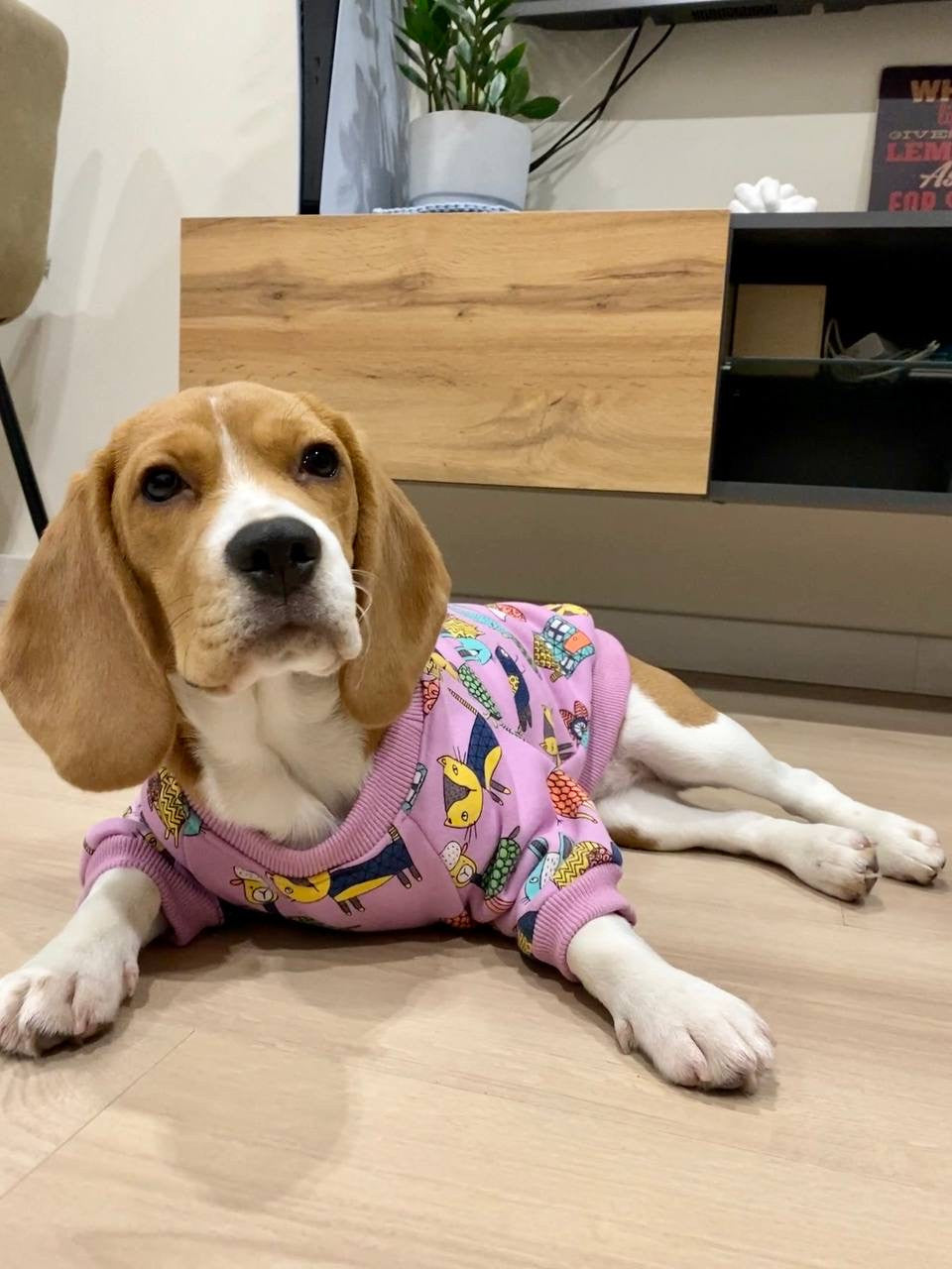 Purple sweatshirt Seaven heaven