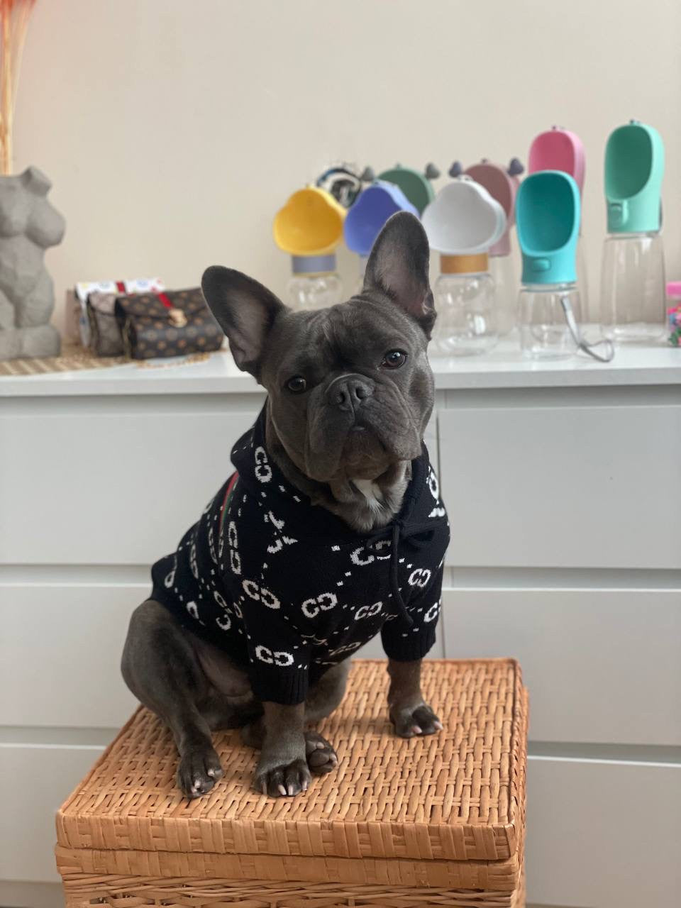 Худі чорного кольору з принтом Gucci