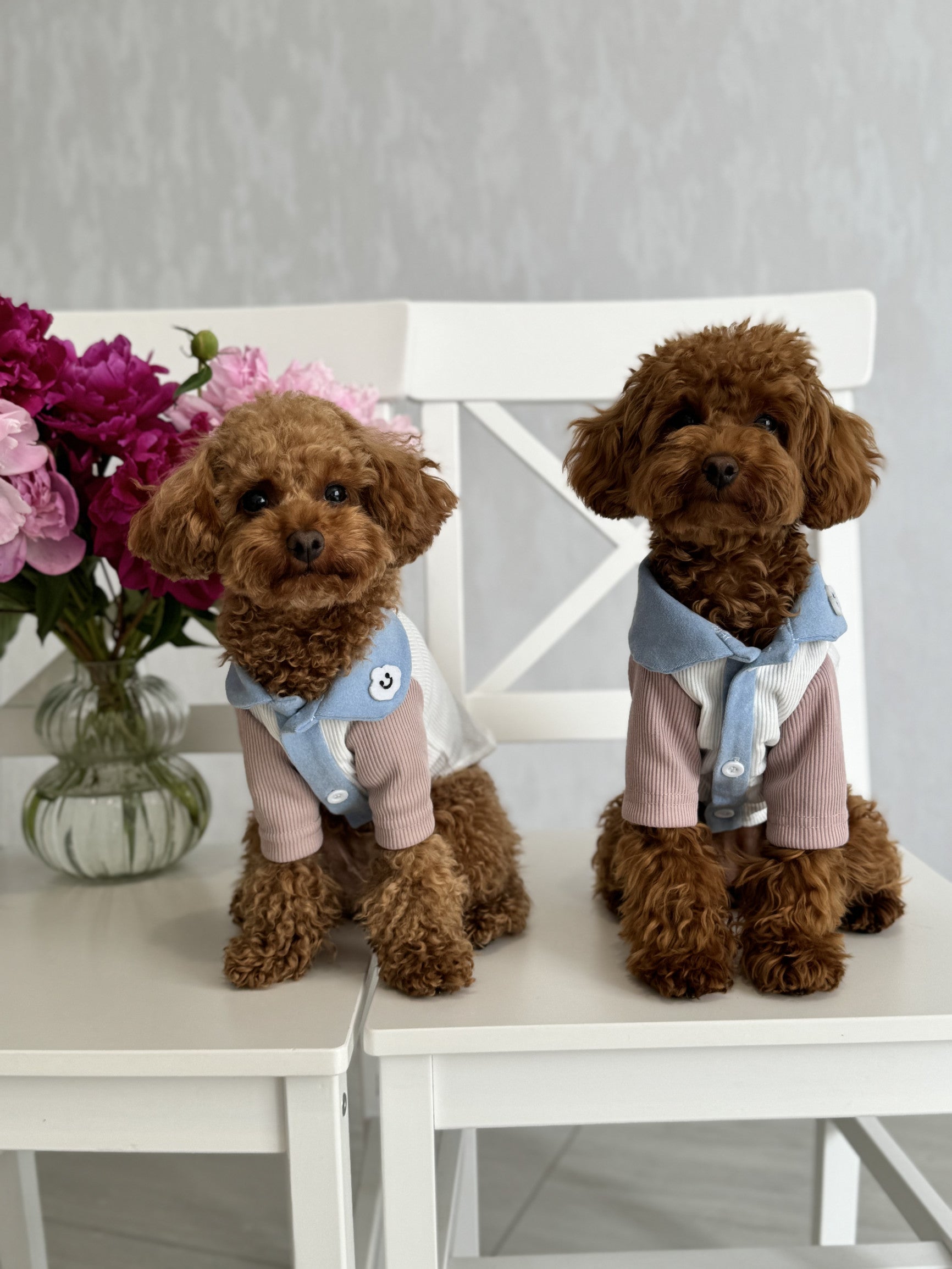 Футболка білого кольору Cloud