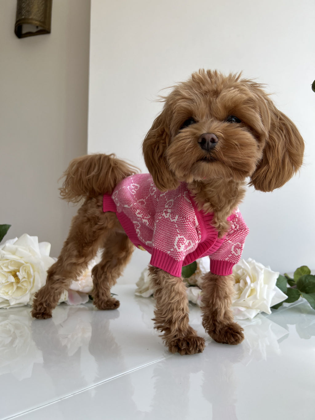 Pink cardigan with Gucci print
