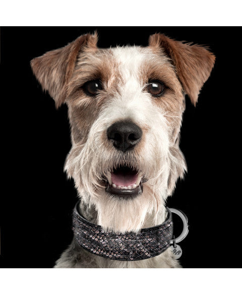 Нашийник чорного кольору Milk&Pepper - Python Collar