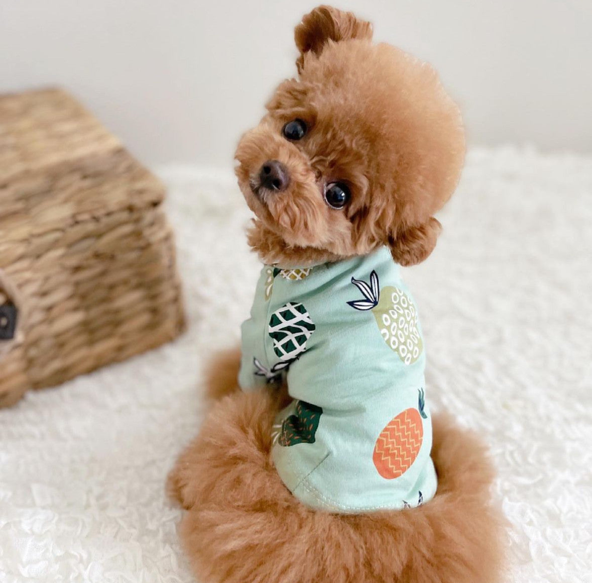 Mint T-shirt with Pineapple print