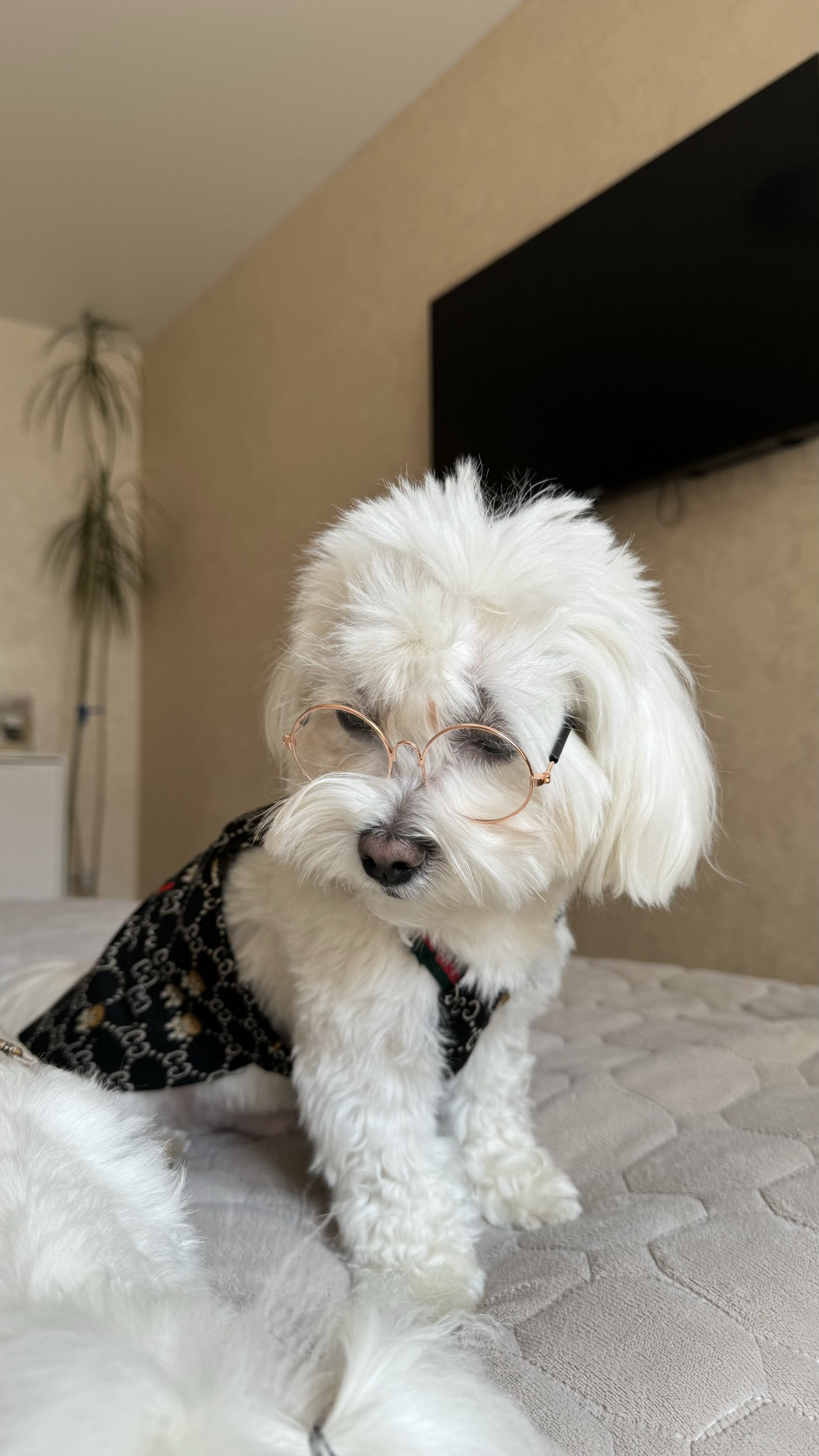 Окуляри з круглими прозорими лінзами Clear Nude