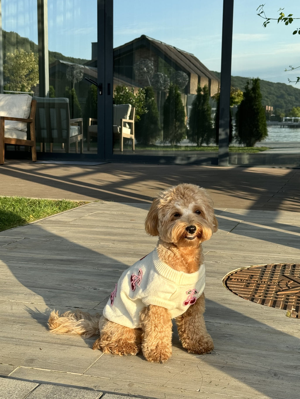 Milk-colored sleeveless sweater with Miu Miu print