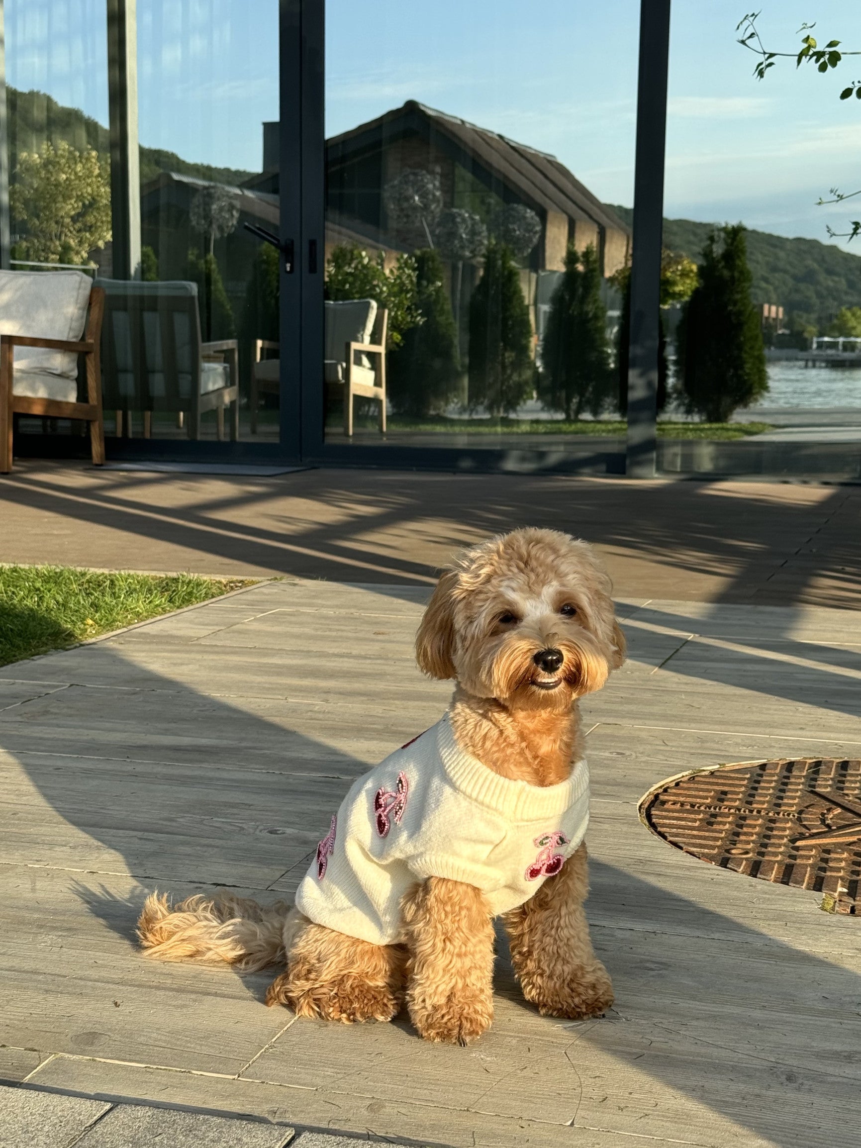 Светр-безрукавка молочного кольору з принтом Miu Miu